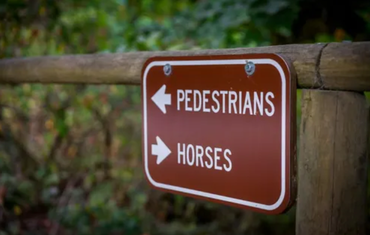 Trail news